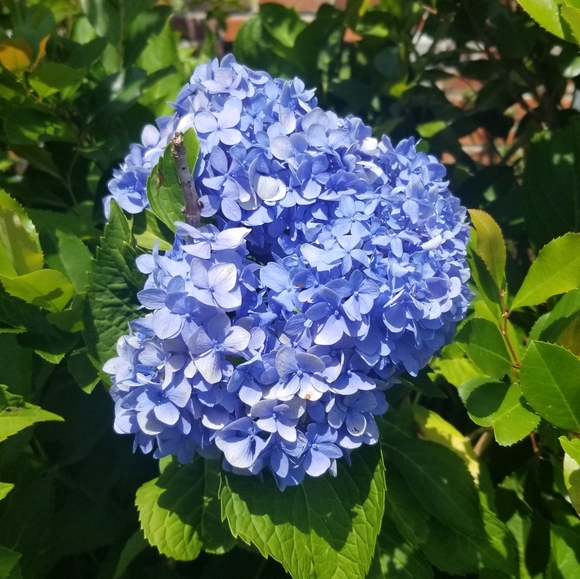 Make me an offer😊❤❤ - Picture 1 of 1